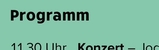 mini programm