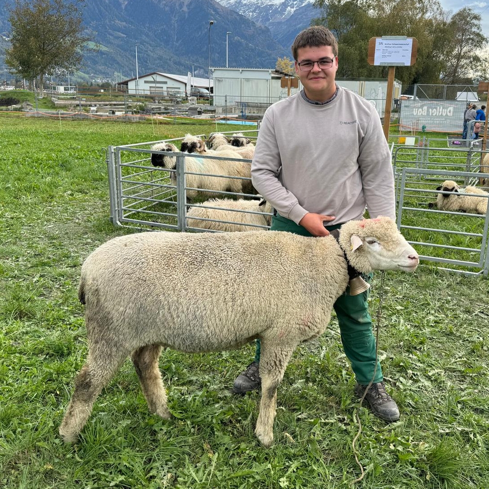 06 Miss Weisses Alpenschaf Besitzer Andrin Gabathuler